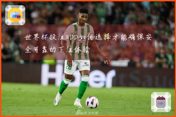 世界杯投注app如何选择才能确保安全可靠的下注体验