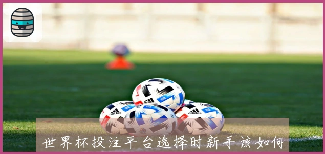 世界杯投注平台选择时新手该如何识别可靠性和安全性