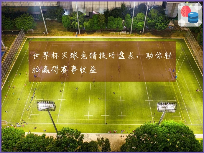 世界杯买球竞猜技巧盘点，助你轻松赢得赛事收益
