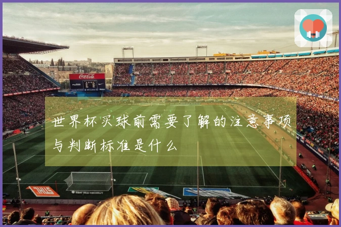世界杯买球前需要了解的注意事项与判断标准是什么
