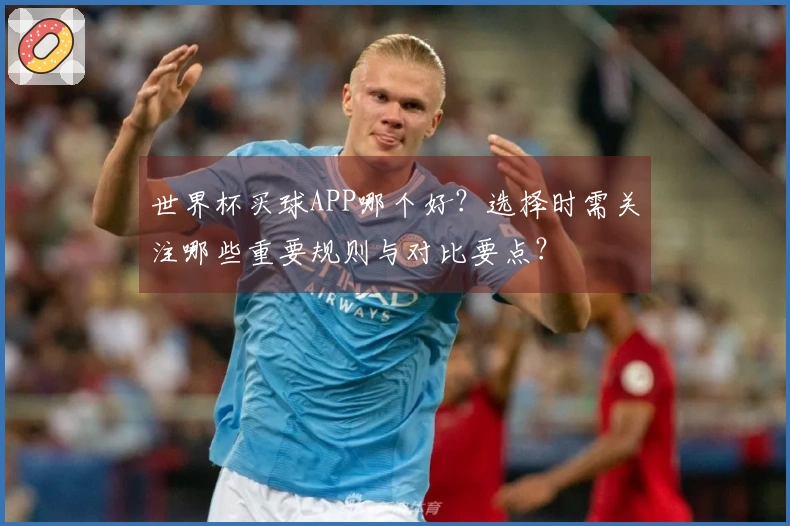 世界杯买球APP哪个好？选择时需关注哪些重要规则与对比要点？