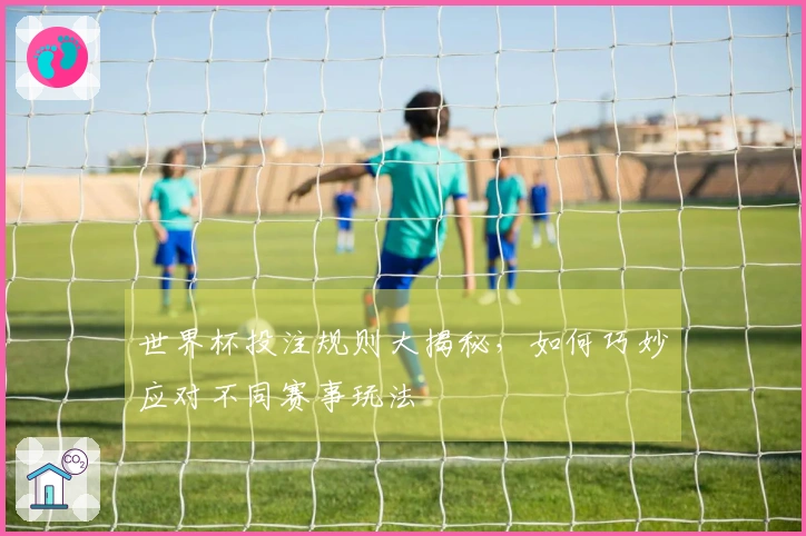 世界杯投注规则大揭秘，如何巧妙应对不同赛事玩法