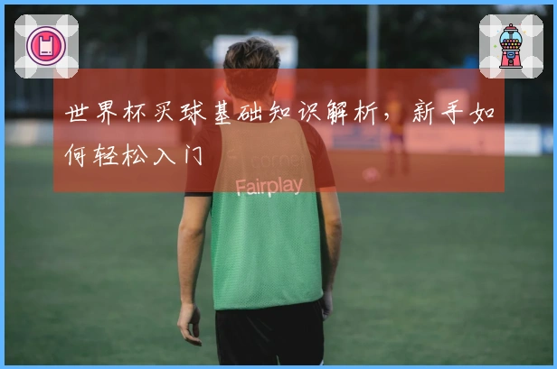 世界杯买球基础知识解析，新手如何轻松入门
