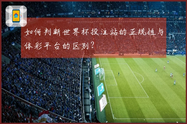 如何判断世界杯投注站的正规性与体彩平台的区别？