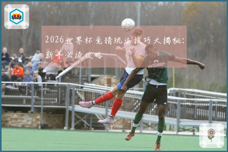 2026世界杯竞猜玩法技巧大揭秘：新手必读攻略