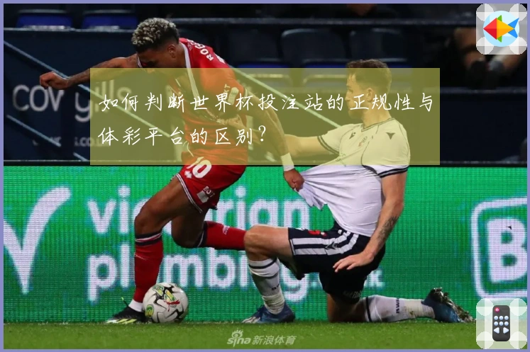 如何判断世界杯投注站的正规性与体彩平台的区别？
