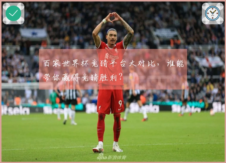 百家世界杯竞猜平台大对比，谁能带你赢得竞猜胜利？