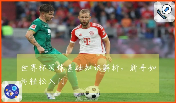 世界杯买球基础知识解析，新手如何轻松入门