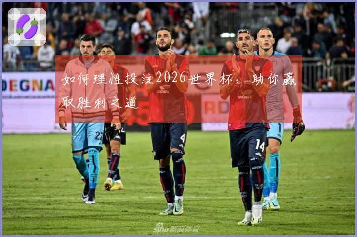 如何理性投注2026世界杯，助你赢取胜利之道