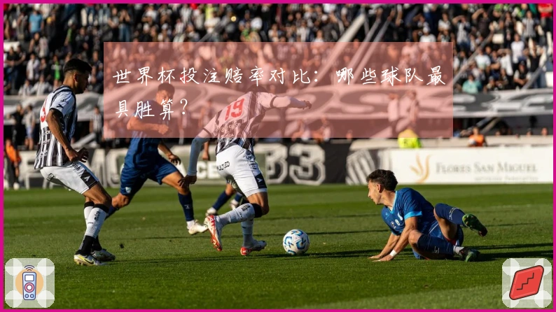 世界杯投注赔率对比：哪些球队最具胜算？