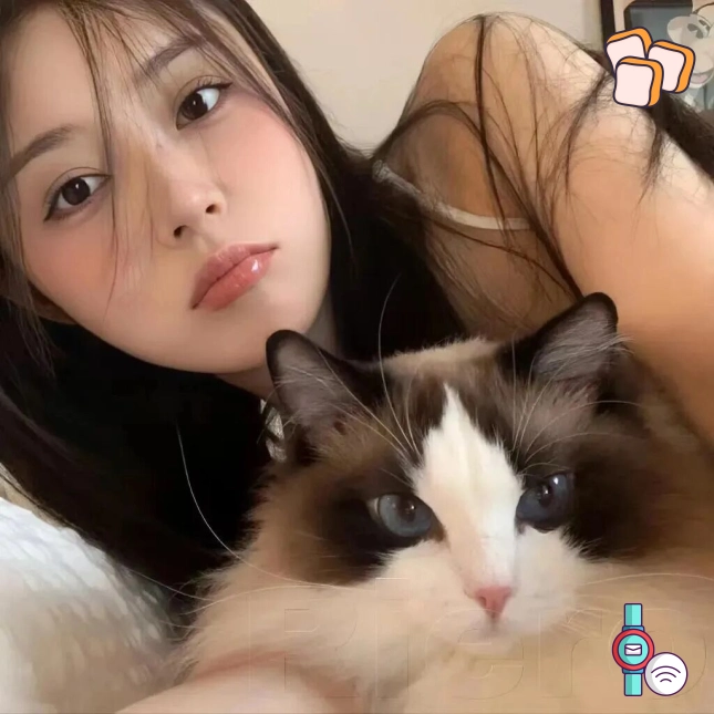 用户头像